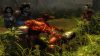 Hellboy: The Science of Evil Xbox 360 / Használt